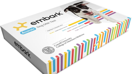 Give Your Pet the Gift of Identity with Embark Dog DNA Test
