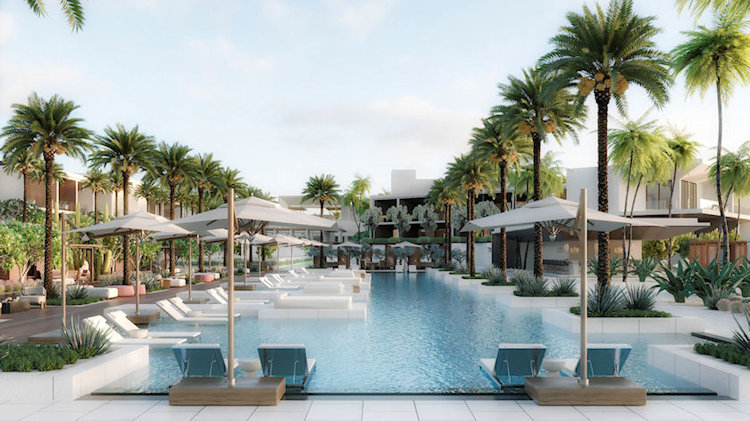 Contemporary Cabo at the New Nobu Hotel Los Cabos 