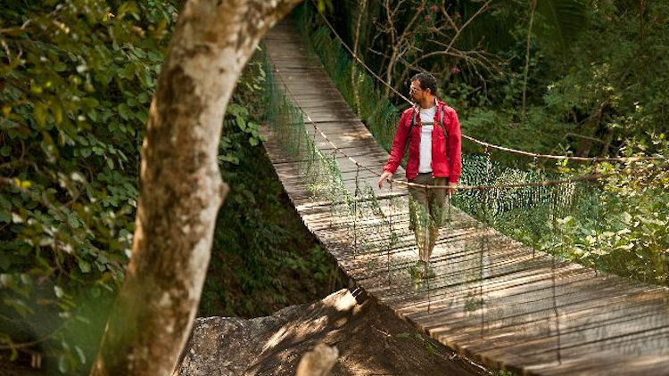 Venture Off the Beaten Path in Puerto Vallarta