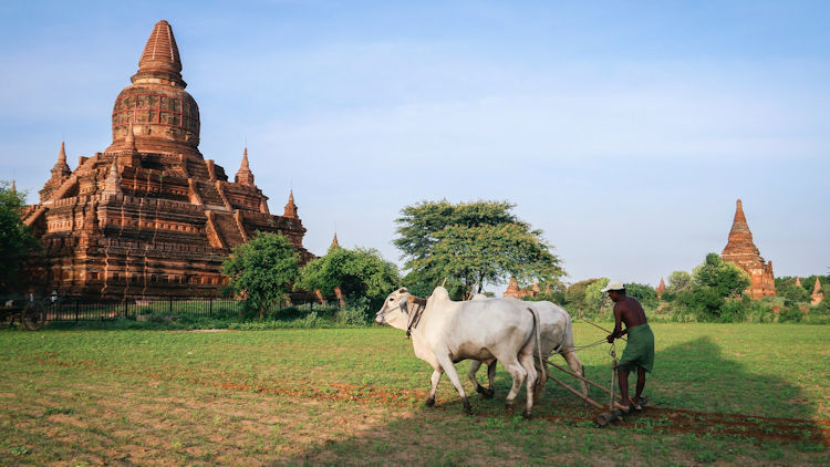 Exploration Travel Myanmar launches first virtual tours of Unesco World heritage Bagan temples
