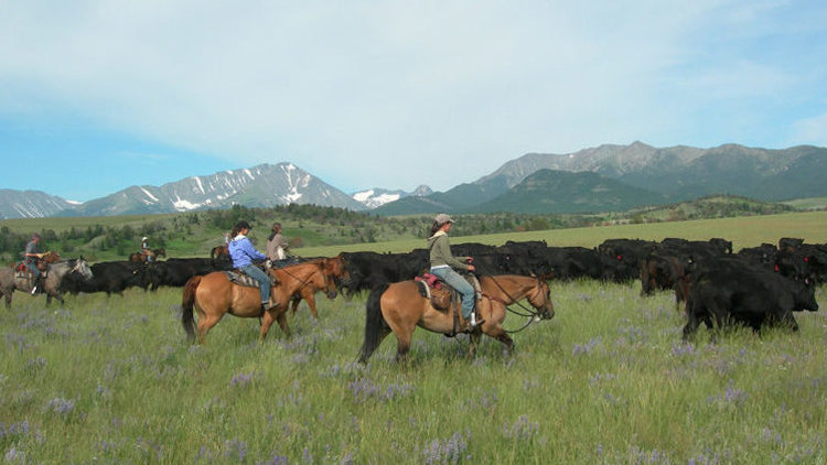 Kevin Costner's 'Yellowstone' Inspires Interest in Ranch Vacations