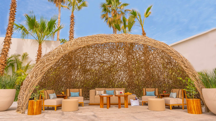 Viceroy Los Cabos Unveils Dalia, A Mediterranean Restaurant with a Los Cabos Twist