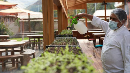 How These Luxury Resorts are Growing Their Own Organic Ingredients