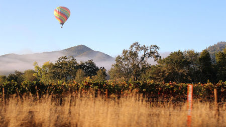 What Are Some Luxurious Activities You Can Do in Napa Valley
