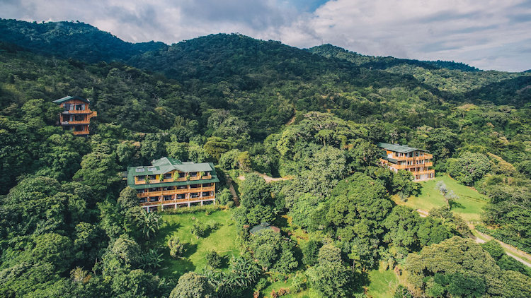 Eco-Friendly Adventures in the Cloud Forest of Costa Rica at Hotel Belmar
