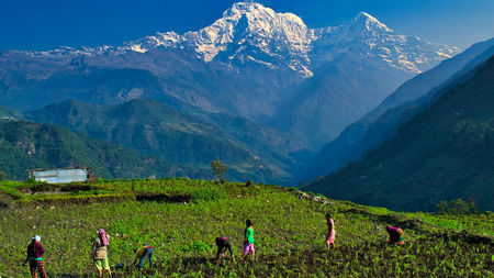 Shakti Himalaya Launches New ‘Little Treks’ for True Explorers