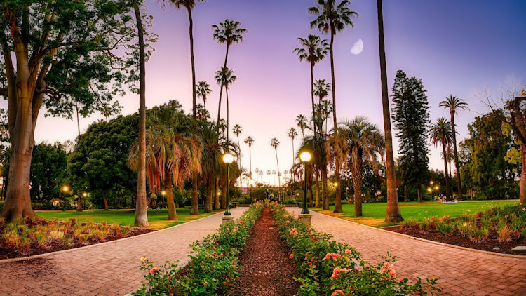 The Ultimate Guide to Exploring Beverly Hills