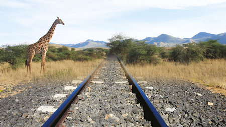 Safari Train Travel: Madaraka Express Journey to Finch Hattons