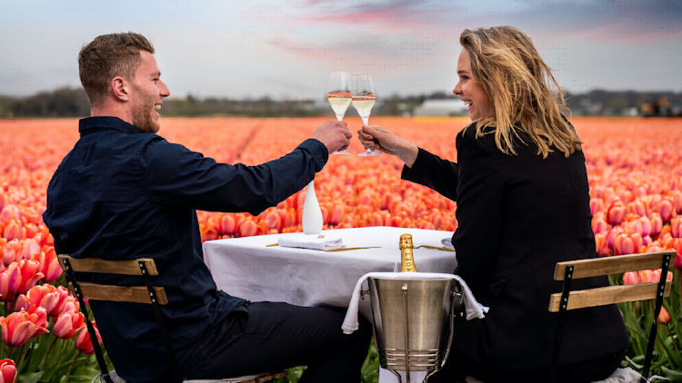 Private Tulip Estate Visits Curated by Anantara Grand Hotel Krasnapolsky Amsterdam