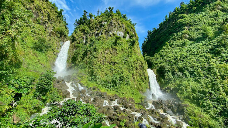 Alexander V Berenstain's Project to Experience Nature and Dominica
