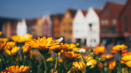 A Guide to Exploring Small-Town Gems