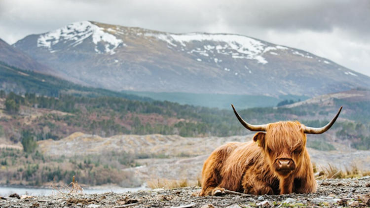 You Know Nothing About Scotland – Even If You’ve Visited It a Dozen Times