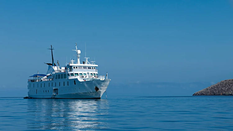 Cruise to the Galapagos: The Ultimate Travel Adventure