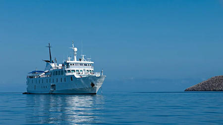 Cruise to the Galapagos: The Ultimate Travel Adventure