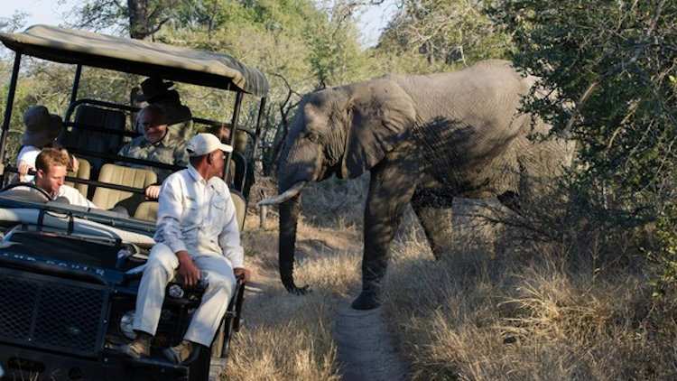 Exploring Africa Beyond the Classic Luxury African Safari
