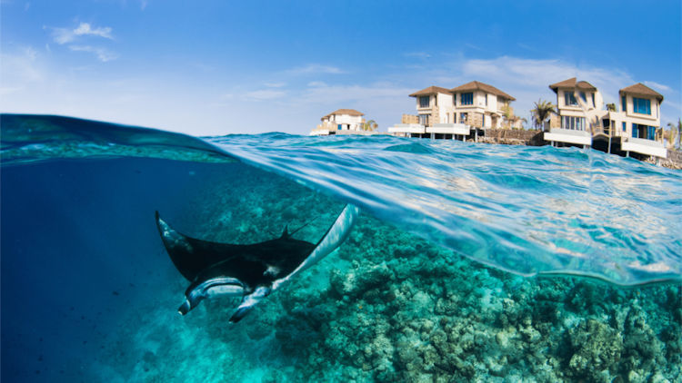 InterContinental Maldives Maamunagau Resort Announces Manta Retreat For March 2026