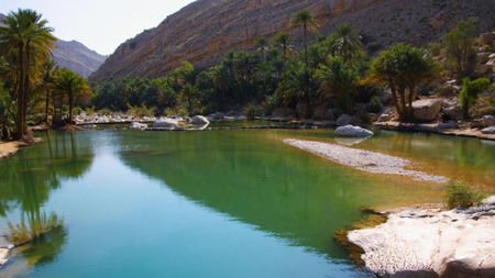 What Makes Wadi Bani Khalid the Must-See Oasis of Oman’s Desert?