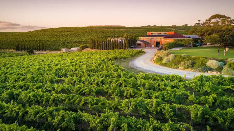 Discovering Adelaide’s Best Wine Regions: A Guide to Unforgettable Wine Tours