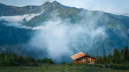 The Quiet Luxury of Cabin Living in the Smoky Mountains