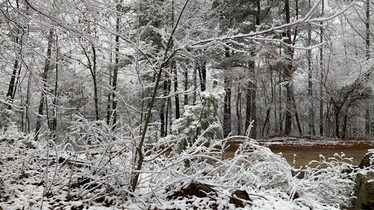 The Quiet Luxury of Cabin Living in the Smoky Mountains