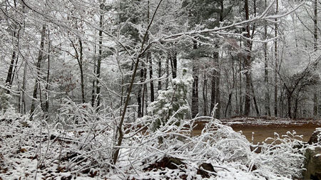 The Quiet Luxury of Cabin Living in the Smoky Mountains