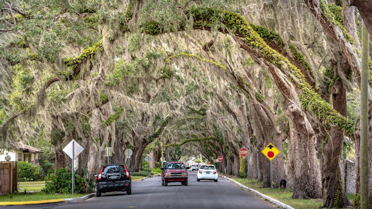 Ocala to Orlando: Your Simple Guide to the Florida Trip