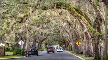 Ocala to Orlando: Your Simple Guide to the Florida Trip