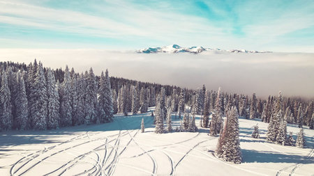 Why Idaho Makes a Great Ski Vacation
