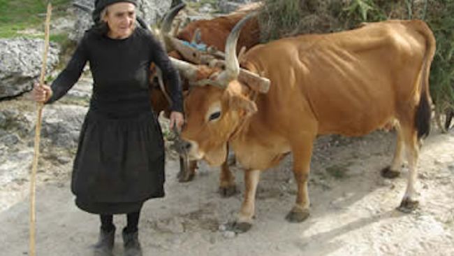 Visit Villages Untouched by Time in Northern Portugal