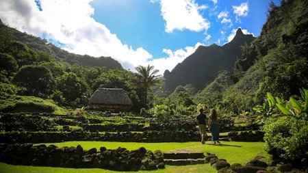 St. Regis Princeville & Limahuli Garden Preserve Give Gift of Green