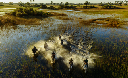 Timbuktu Picks 5 Greatest African Safari Adventures