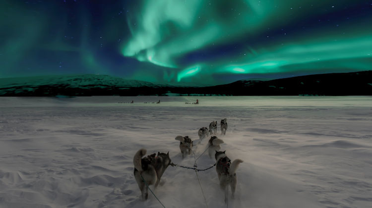 Places to Go to Witness the Northern Lights 