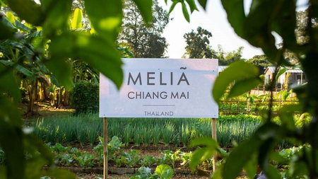 New Chiang Mai Hotel Opens Organic Farm with Michelin-Starred Chef Turned Sustainable Farmer 