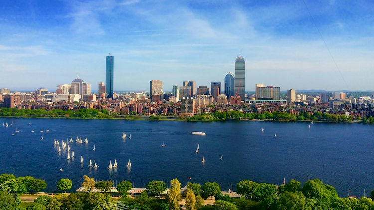 What's Buzzing in Boston this Summer