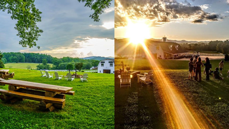 The Horse Shoe Farm, North Carolina’s Ultimate Luxury and Nature Getaway