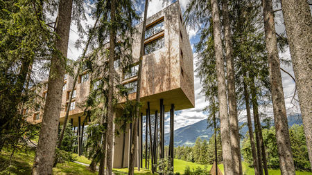 My Arbor - A 5 Star 'Tree Hotel' in South Tyrol, North Italy