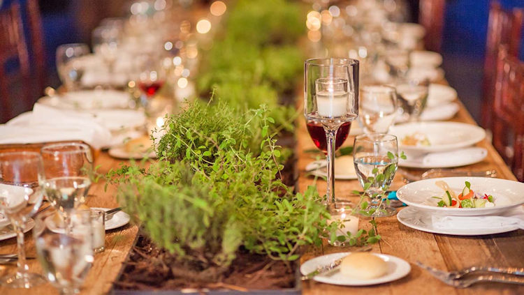 Omni Amelia Island Resort Unveils Lineup for 2023 Sprouting Project Dinner Series