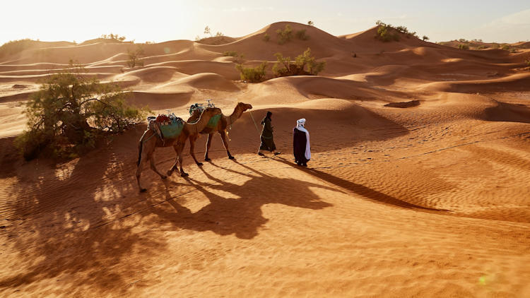 5 Reasons To Experience Dubai's Desert Adventure In Winter