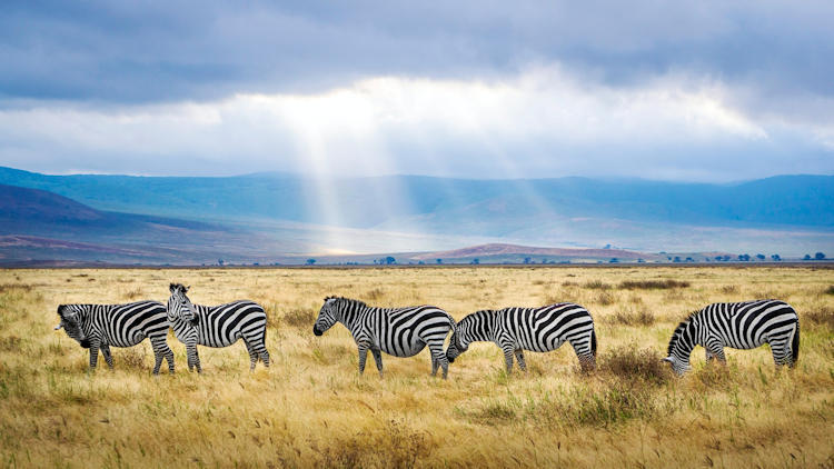 Exclusive Experiences in Tanzania