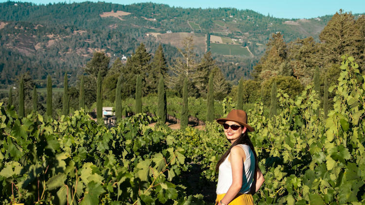 Savoring Spring: The Ultimate Luxury Experiences in Napa Valley