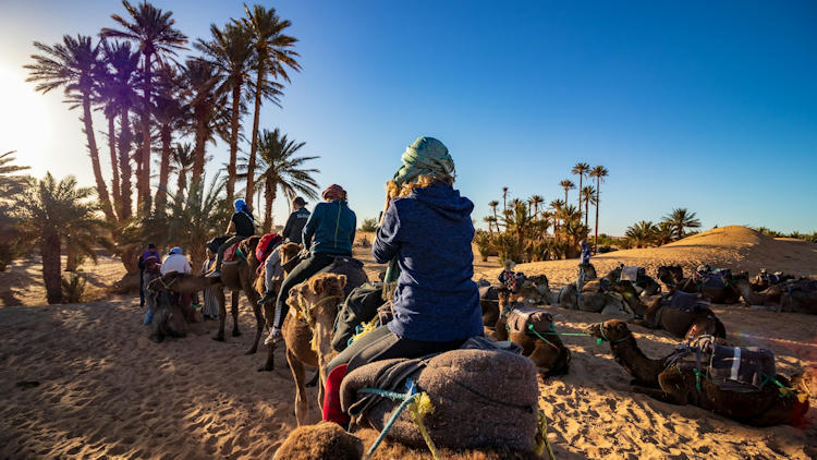 Discover Morocco Luxury Tours
