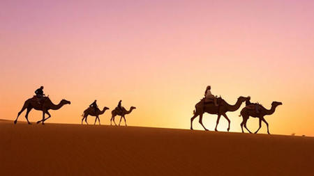 What Makes Private Desert Tours from Marrakech So Special