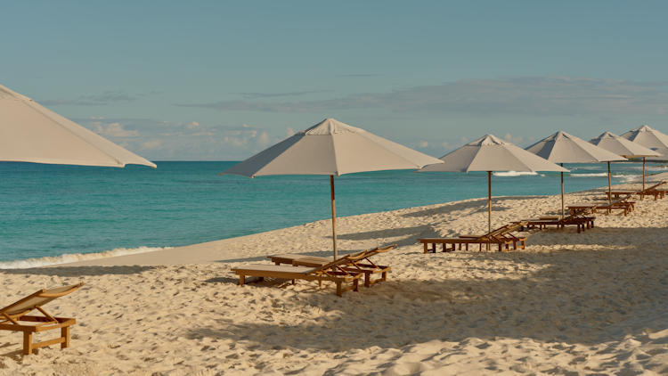Where to Go in the Caribbean to Avoid Sargassum