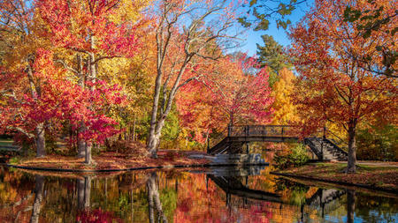 Fall Foliage From City Streets to Mountain Peaks