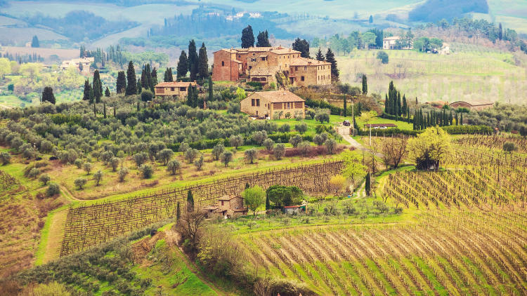 A New Age of Luxury: Wine Touring Italy’s Timeless Vineyards