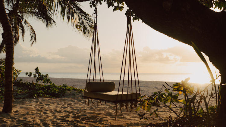 Conservation as the Ultimate Luxury: Diving in to the Seychelles' Blue Economy