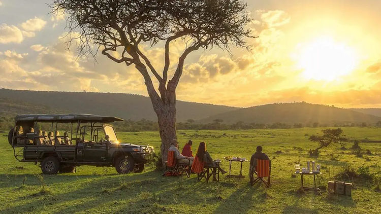 The Timeless Allure of the African Safari