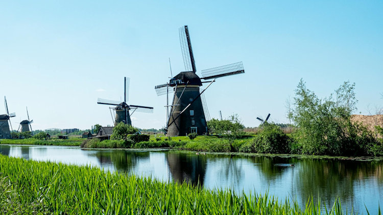 What Is Included in a Windmill Tour Amsterdam with Private Chauffeur Service?