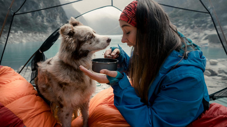 How to Build a Reusable Travel Kit for Yourself and Your Dog