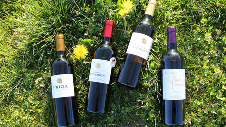 The Right Bank Secret: Why Serious Collectors Are Paying Attention to Château Mongiron